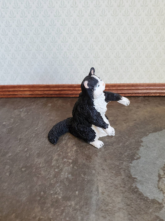 Dollhouse Miniature Kitty Cat Black & White Playful Long Fur 1:12 Scale Pets Animals