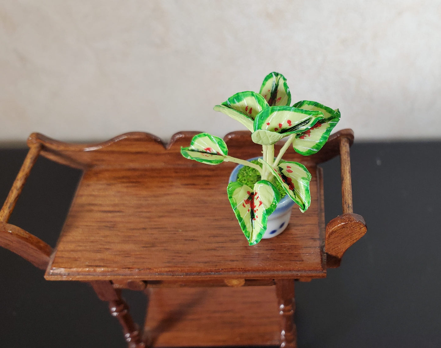 Dollhouse Caladium Plant in a Ceramic Planter 1:12 Scale Miniature Houseplant
