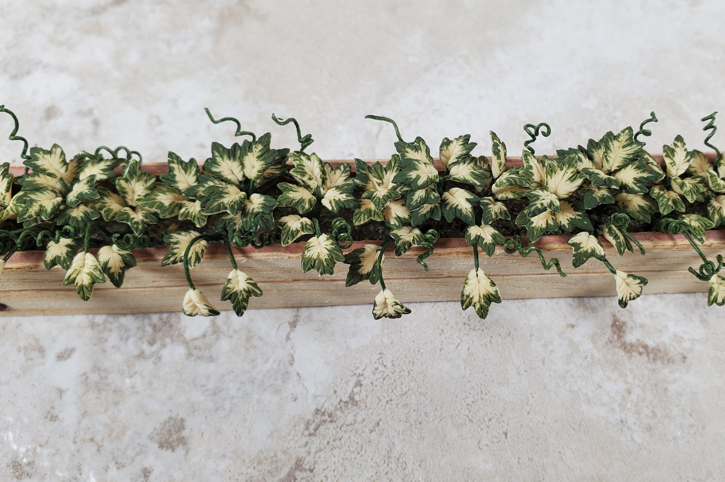 Dollhouse Inner Variegated Ivy in 5.25" Window Box Planter 1:12 Scale Miniature