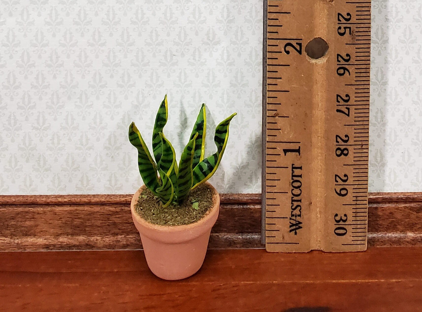 Dollhouse Houseplant Snake Plant Sansevieria Terra Cotta Planter 1:12 Scale
