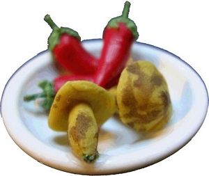 Dollhouse Mushrooms & Chili Peppers on a Ceramic Plate 1:12 Scale Miniature Food