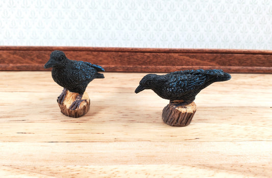 Dollhouse Crows or Ravens Birds Set of 2 Large 1 5/8" long 1:12 Scale Miniature