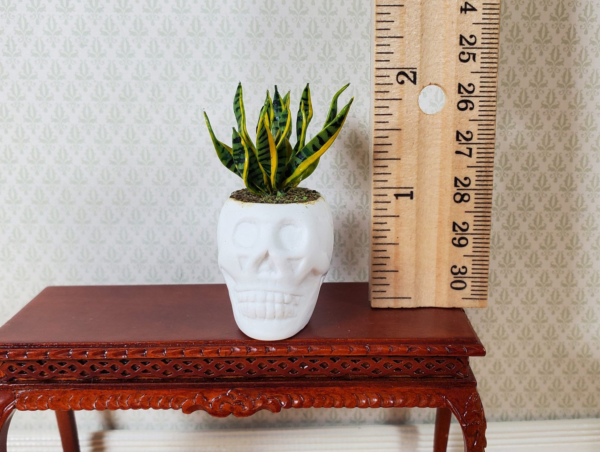 Dollhouse Snake Plant in a Large White Skull Planter Pot 1:12 Scale Halloween