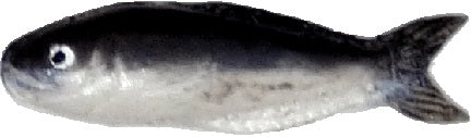 Dollhouse Tautog Blackfish 1:12 Scale Miniature Food Kitchen