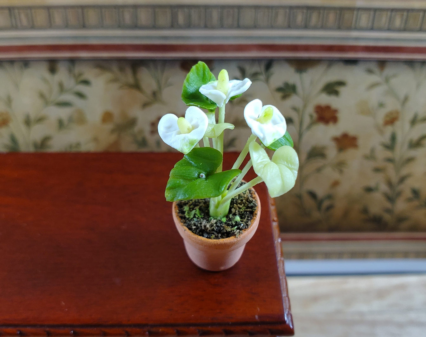 Dollhouse White Anthurium Flowering Plant Terra Cotta Pot 1:12 Scale Miniature