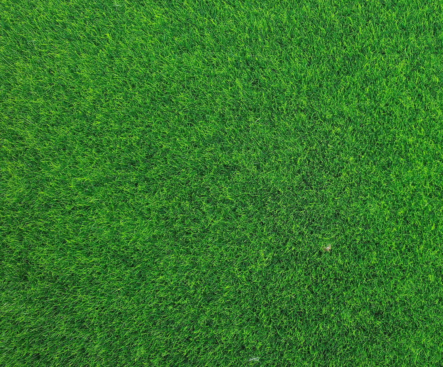 Miniature Lawn Grass Square Dollhouse Yard Gardens Model Scenery 11 3/4" x 12"