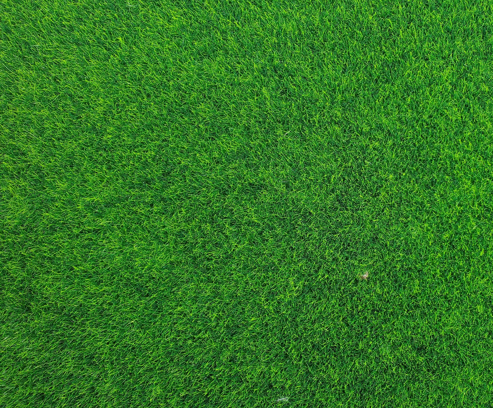 Miniature Lawn Grass Square Dollhouse Yard Gardens Model Scenery 11 3/4" x 12"