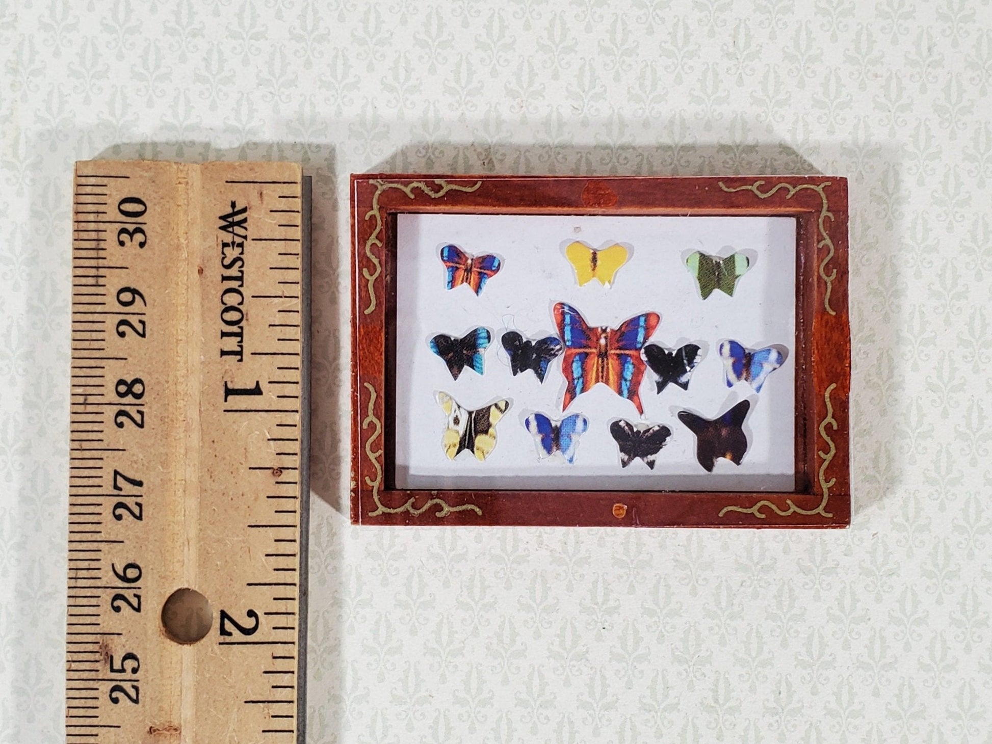 Dollhouse Butterfly Shadow Box 1:12 Scale Miniature Decor Accessories - Miniature Crush