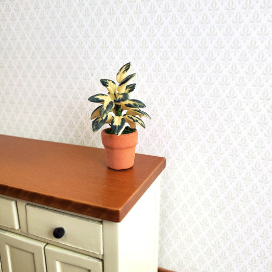 Dollhouse Houseplant Plant in Clay Pot Variegated Leaves 1:12 Scale Miniature - Miniature Crush