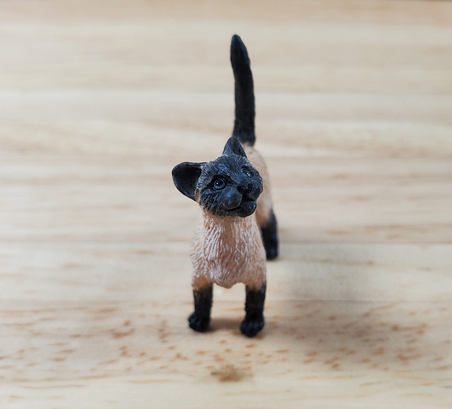 Dollhouse Kitten Siamese Kitty Cat Standing Tail Up 1:12 Scale Miniature Pet - Miniature Crush