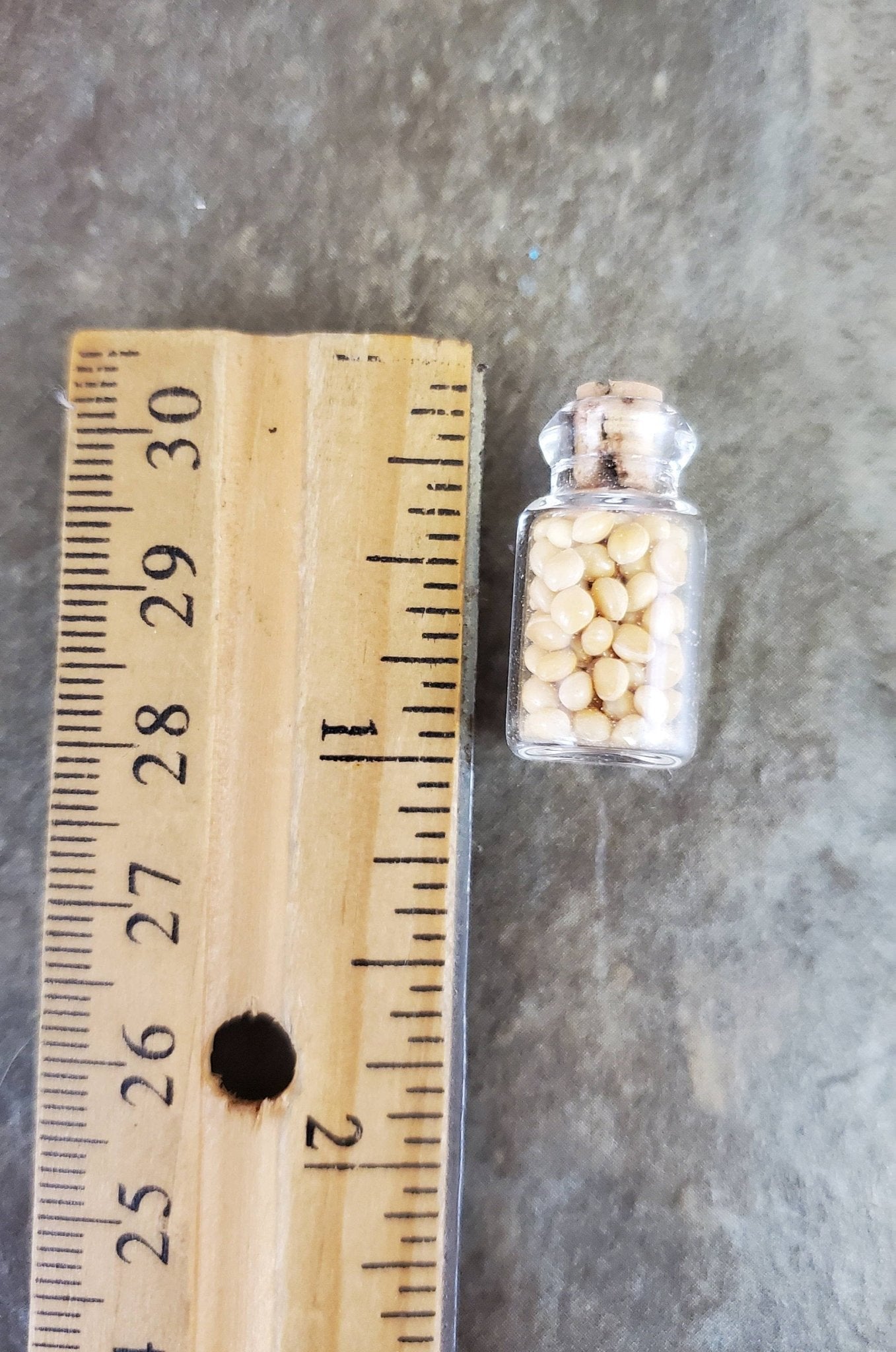 Dollhouse Miniature Glass Spice Jars with Cork 1:12 Scale Food Kitchen Accessory - Miniature Crush