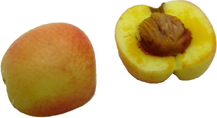 Dollhouse 2 Peach Halves 1:12 Scale Miniature Food Kitchen Fruit Snacks Grocery