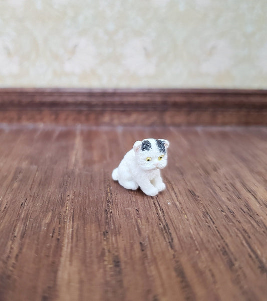 Miniature Tiny Kitten White Persian with Black Sitting 1:24 Scale Animals Cats A4161BW - Miniature Crush