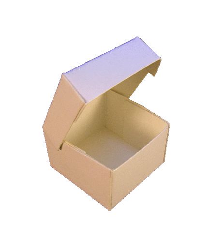 Dollhouse 1:24 Half Scale Cake/Pie/Cheesecake Box White Miniatures Food