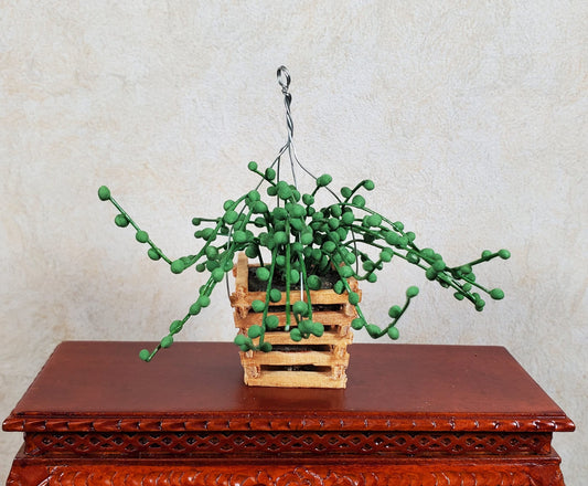 Dollhouse String of Pearls Plant in Wood Hanging Planter 1:12 Scale Miniature