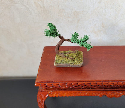 Dollhouse Bonsai Tree Prop Tiny Miniature 1:12 Scale Miniature Handmade