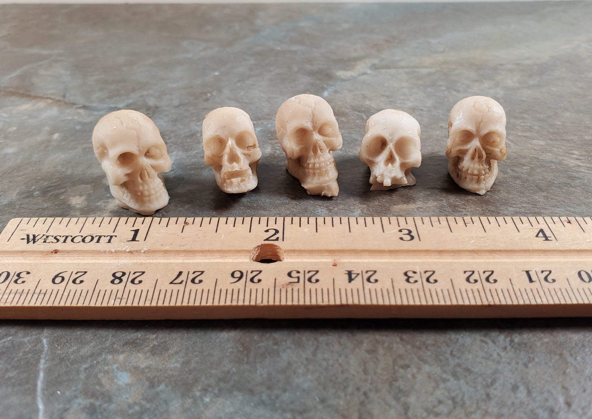Miniature Skulls Tiny 5 Random 1:12 Scale Halloween Decoration Scale Model Resin