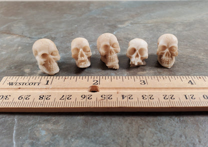 Miniature Skulls Tiny 5 Random 1:12 Scale Halloween Decoration Scale Model Resin