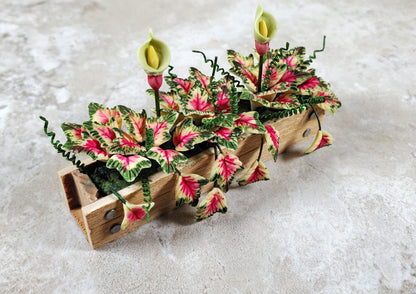 Dollhouse Caladiums in a 3.25" Wooden Window Box Planter 1:12 Scale Miniature