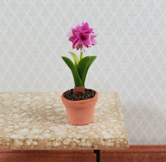 Dollhouse Pink White Flowering Bulb in Terra Cotta Planter 1:12 Scale Miniature