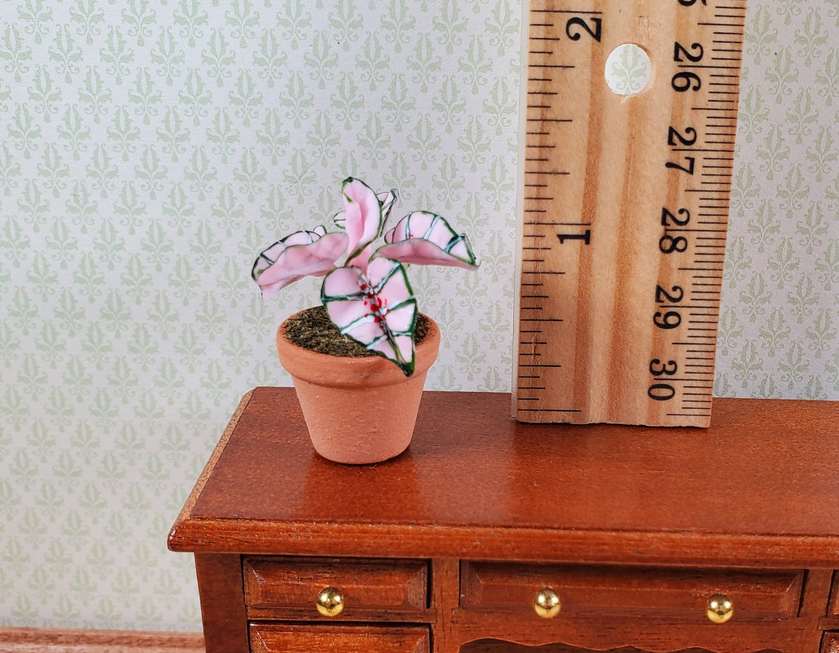 Dollhouse Houseplant Caladium Potted Plant 1:12 Scale Miniature Terra Cotta Pot