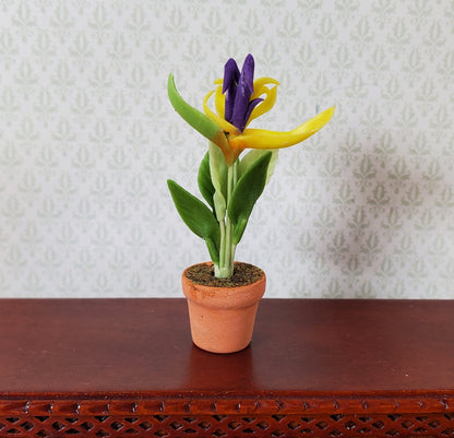 Dollhouse Flowering Tropical Plant in Terra Cotta Pot 1:12 Scale Miniature