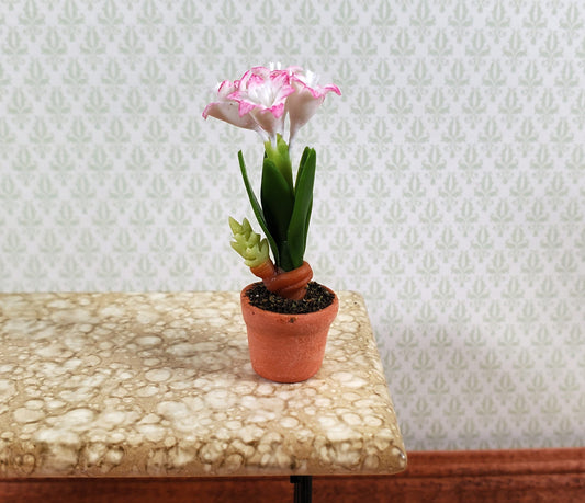 Dollhouse Pink & White Amaryllis Flowers in Terra Cotta Pot 1:12 Scale Miniature