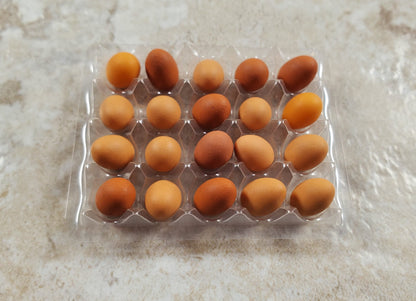Dollhouse 20 Brown Eggs in a Clear Tray 1:12 Scale Miniature Food