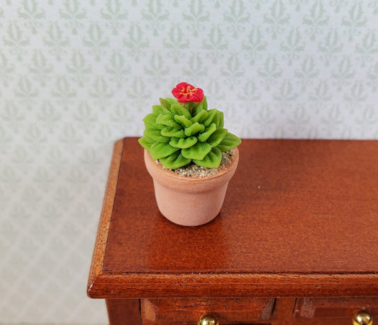 Dollhouse Flowering Cactus Plant in a Terra Cotta Pot 1:12 Scale Miniature