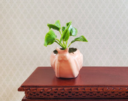 Dollhouse Ceramic Snail Planter with Houseplant 1:12 Scale Miniature