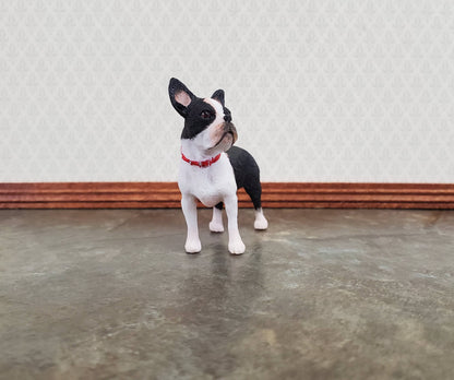 Miniature Dog Boston Terrier Black & White 1:12 Scale Pet