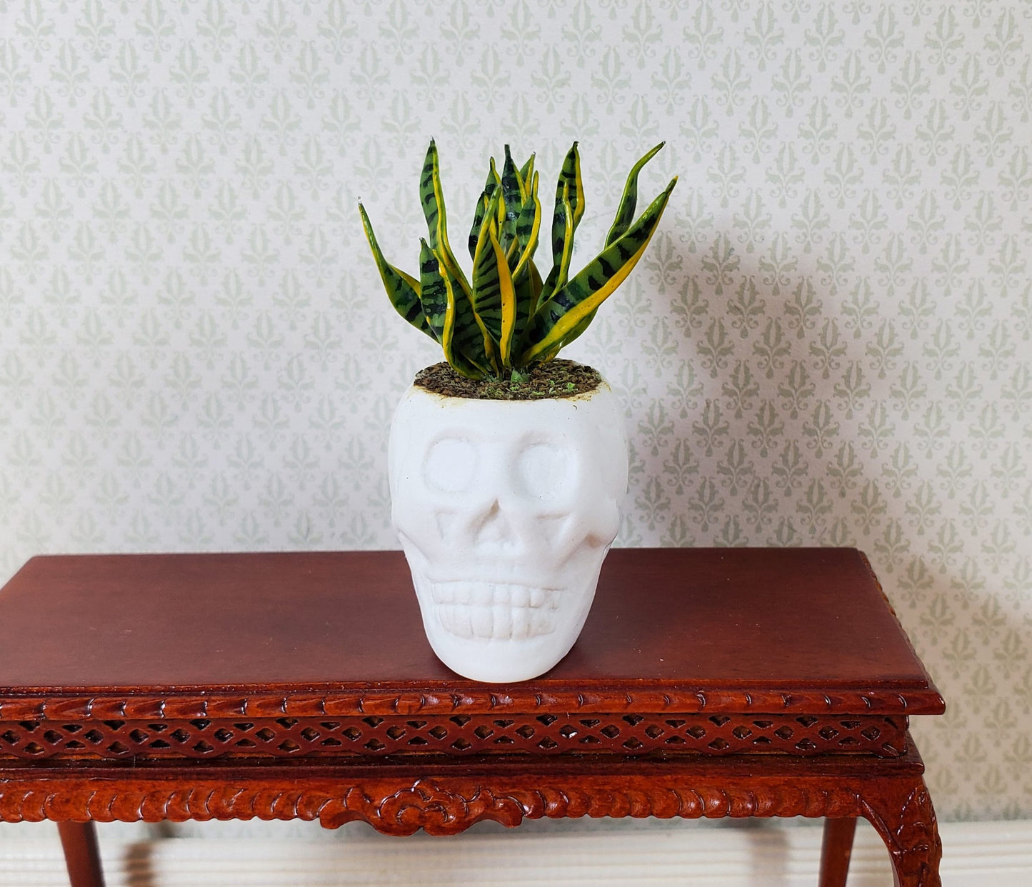Dollhouse Snake Plant in a Large White Skull Planter Pot 1:12 Scale Halloween