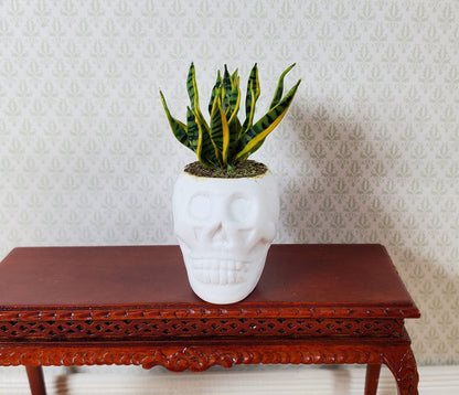 Dollhouse Snake Plant in a Large White Skull Planter Pot 1:12 Scale Halloween