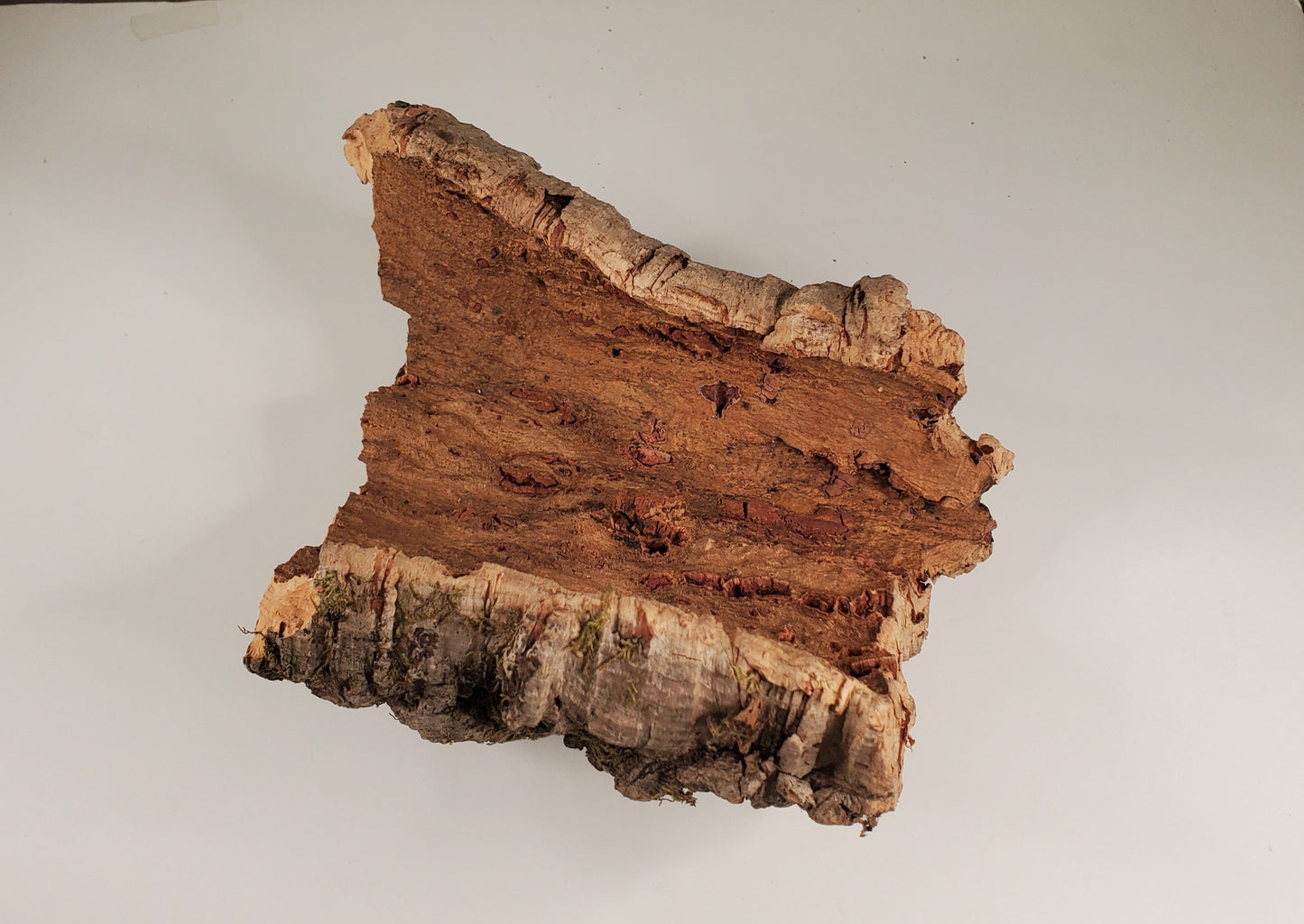 Natural Cork Bark Random 4-5 oz Pack JAVIS Model RR Dioramas Scenery Terrariums