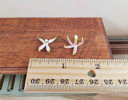 Dollhouse Ginger Root 2 Bunches 1:12 Scale Miniature Food Kitchen Grocer