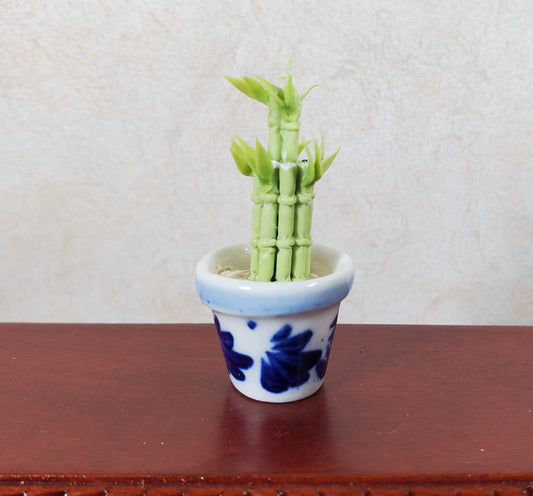 Dollhouse Lucky Bamboo Plant Plant in Blue & White Pot 1:12 Scale Houseplant