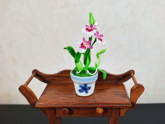Dollhouse Orchid Pink White Flowering Plant in Ceramic Pot 1:12 Scale Miniature