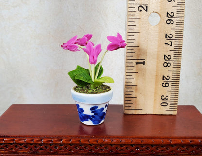 Dollhouse Potted Fuchsia Flowers 1:12 Scale Miniature Blue White Ceramic Pot