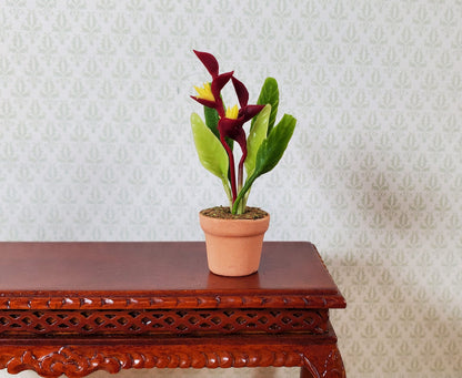 Dollhouse Burgundy and Yellow Heliconia Plant in Terra Cotta Pot 1:12 Scale