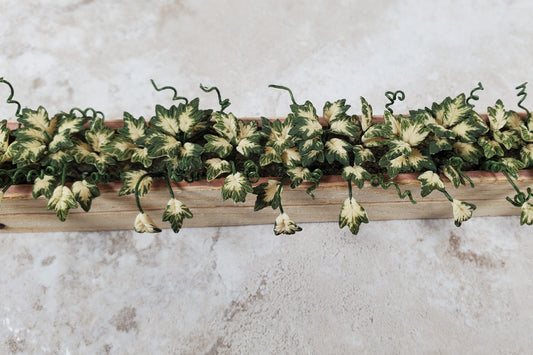 Dollhouse Inner Variegated Ivy in 5.25" Window Box Planter 1:12 Scale Miniature