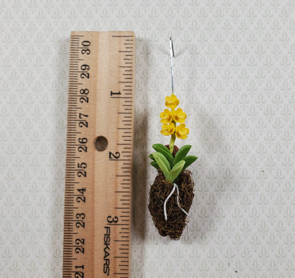 Dollhouse Hanging Orchid Yellow with Bark & Moss Flowering Plant 1:12 Scale