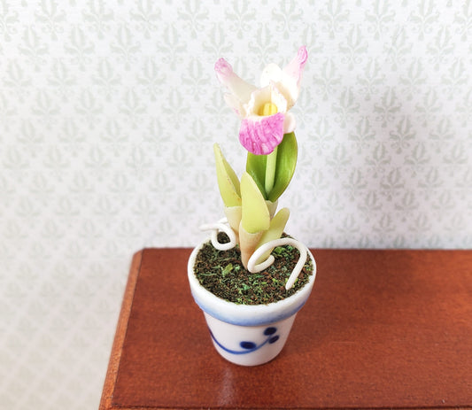 Dollhouse Pink and White Orchid in a Blue & White Ceramic Pot 1:12 Scale