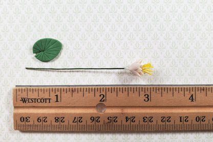 Dollhouse White Water Lily with Lily Pad Long Stem 1:12 Scale Miniature