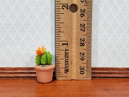 Dollhouse Cactus Round Flowering Plant in a Terra Cotta Planter 1:12 Scale Miniature Decor
