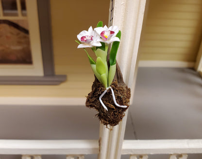 Dollhouse Hanging Orchid on Bark with Moss White & Purple Flowering Plant 1:12 Scale