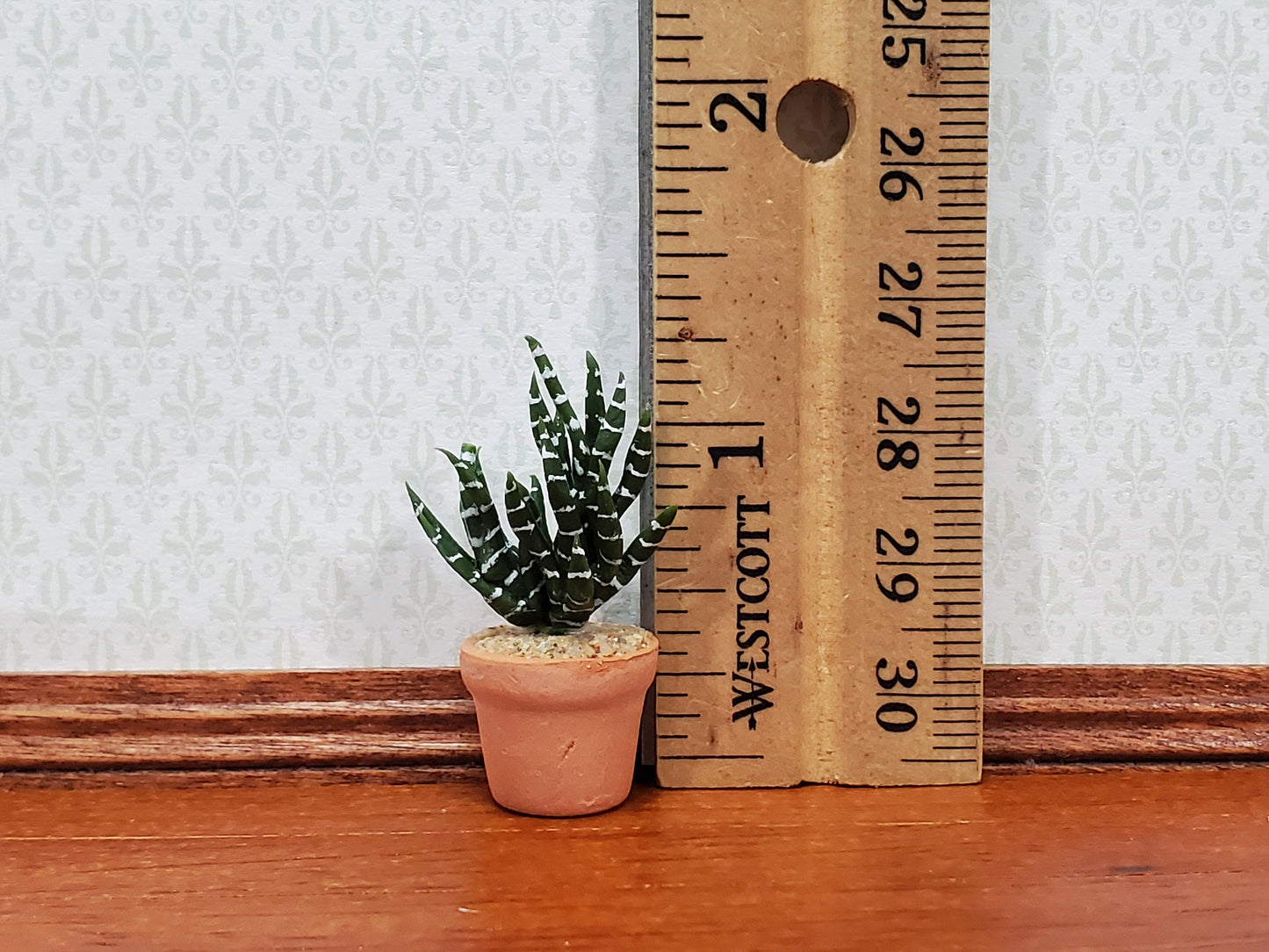Dollhouse Succulent Zebra Plant in a Terra Cotta Planter 1:12 Scale Miniature