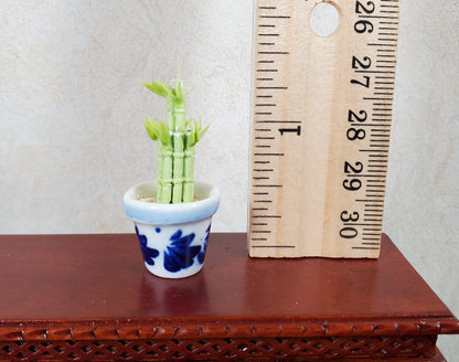 Dollhouse Lucky Bamboo Plant Plant in Blue & White Pot 1:12 Scale Houseplant