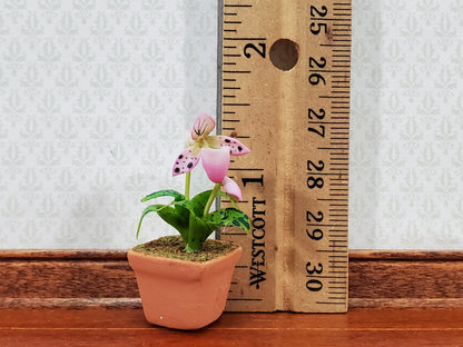 Dollhouse Potted Orchid Pink & White Flowering Plant 1:12 Scale Miniature