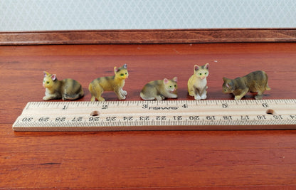 5 Dollhouse Cats Tabby Tabbies Striped Kittens 1:12 Scale Animals Cats - Miniature Crush