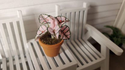 Dollhouse Houseplant Caladium Potted Plant 1:12 Scale Miniature Terra Cotta Pot